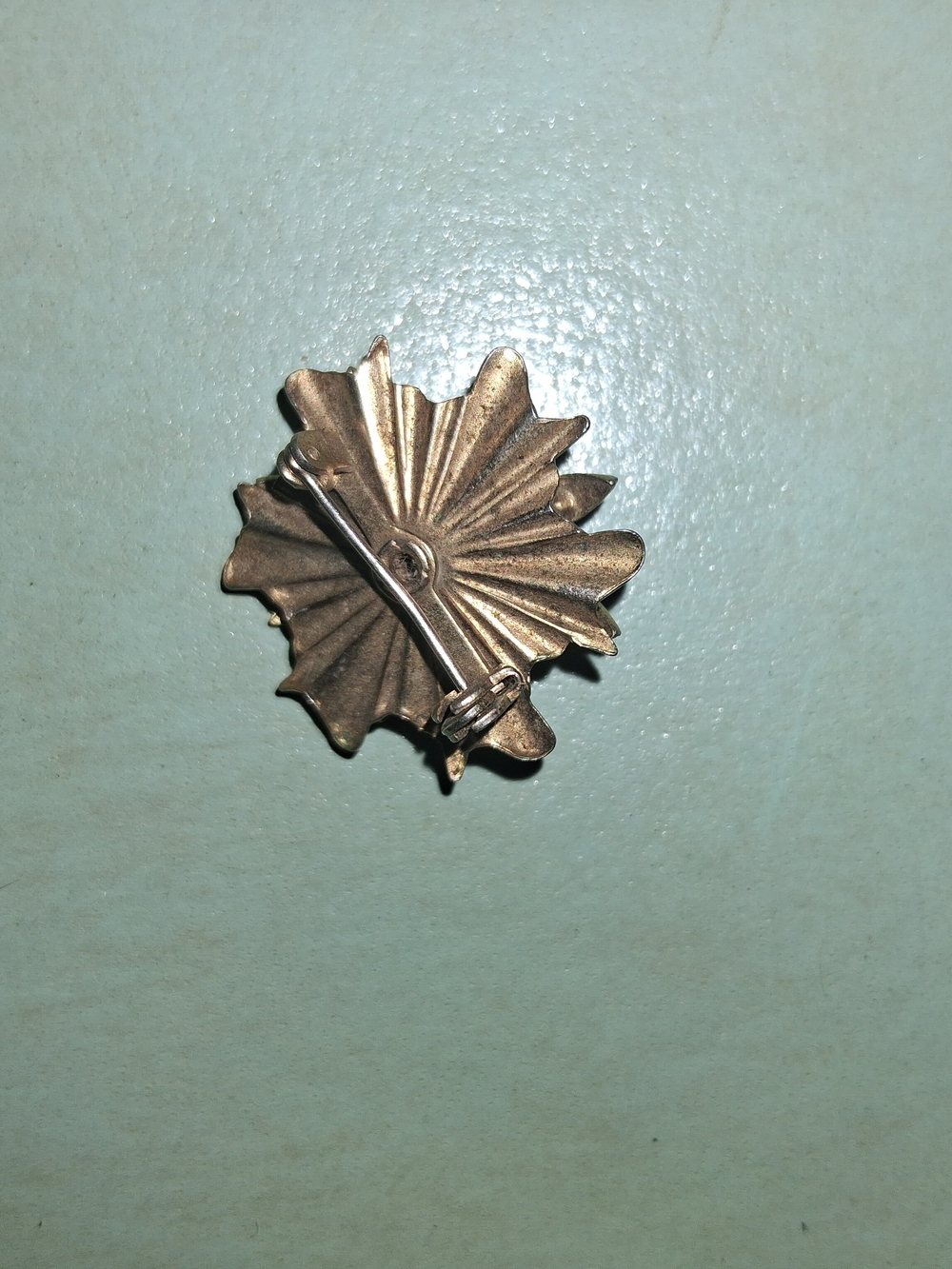 Source Unknown Gold-Tone Fan Floral Brooch